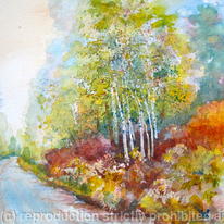 Highland Fern