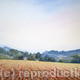 A Farm Near Steyning | £320 | 70 x 58cm | watercolour A Farm Near Steyning
