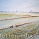 Near Spakenburg Holland | £250 | 65 x 52cm | watercolour Near Spakenburg Holland