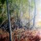 Ashdown Thicket | £320 | | watercolour Ashdown Thicket
