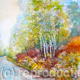 Highland Fern | £320 | 37 x 37cm | watercolour Highland Fern