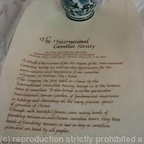 Open Scroll  for Camilia society
