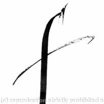 letter f