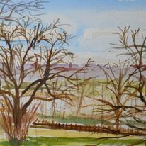 Hill above Mixed swimming pond Hampstead Heath