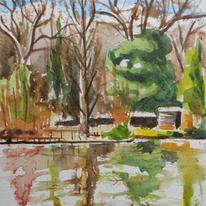 Mixed pond 2 Hampstead Heath