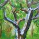 Tree Dulwich woods | £120 | 45 x 30cm | Oil on canvas Tree Dulwich woods