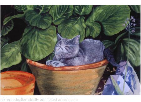 CAT IN A POT