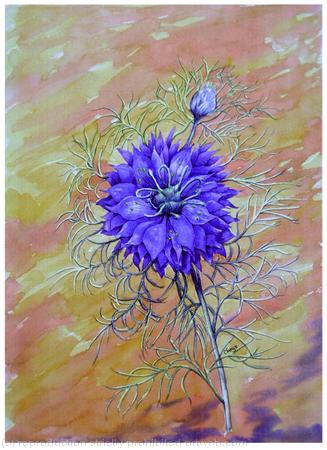LOVE IN A MIST