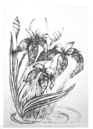 IRIS PRINT
