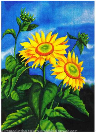 SUNFLOWER