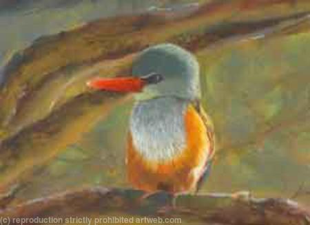 BEE EATER