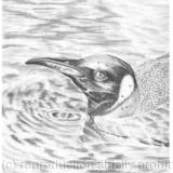 THE WATERS LOVELY - GRAPHITE
