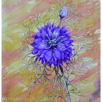 LOVE IN A MIST