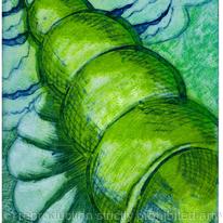 SPIRAL SHELL