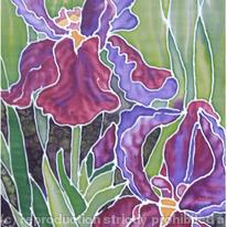 IRIS ON SILK