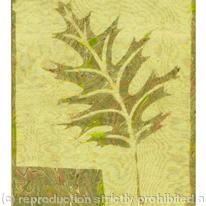 MARBLE LEAF 