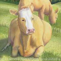 COW AND CALF