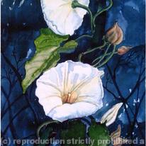 CONVOLULOUS BY MOONLIGHT