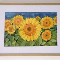 SUNFLOWER-FIELD