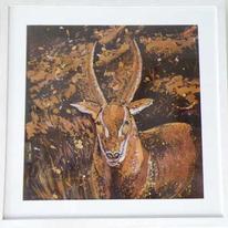 THOMSON\'S-GAZELLE