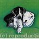 BEST OF FRIENDS | (sold) | | WATERCOLOUR BEST OF FRIENDS