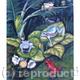 FROGS | (sold) | | WATERCOLOUR FROGS