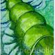 SPIRAL SHELL | £95 | 22 x 33cm | COLLOGRAPH PRINT SPIRAL SHELL