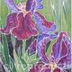 IRIS ON SILK
