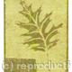 MARBLE LEAF | £55 | 5 x 8cm | MARBLING ON SILK MARBLE LEAF