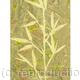 MARBLE BAMBOO | £95 | | MARBLING ON SILK MARBLE BAMBOO