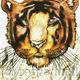 TIGER IN THE GRASS