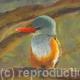 BEE EATER
