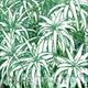 GREEN ALOEVERA