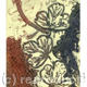 FIG LEAVES