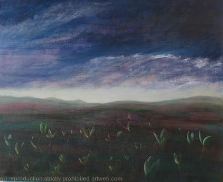 Bog Beans, Forsinard