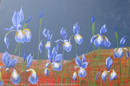 Iris 1