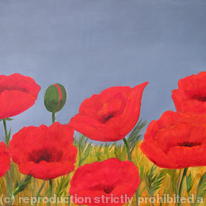 Poppies