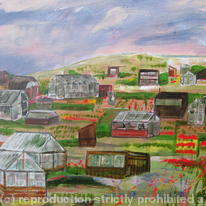 Dundee Allotment