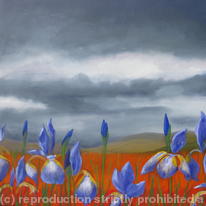 Iris 2