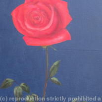 Kate's Rose