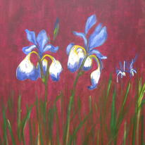 Irises