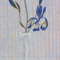 Irises