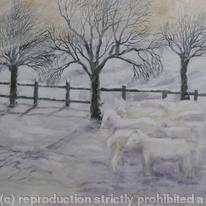 hidden Sheep in Snow (2)