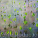 What Lies Beneath | £1200 | 170 x 120cm | Oil on Canvas What Lies Beneath