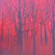 Trees at Sunset | (sold) | 120 x 90cm | Oil on Canvas Trees at Sunset