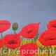 Poppies