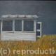 Shed with Autumn Grass
