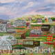 Dundee Allotment