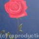 Kate's Rose
