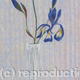 Irises